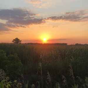 Meet your Posher, Madeline